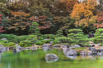 Fototapeta na wymiar fukuoka, kyushu - december 07 2022: Natural landscape depicting a Japanese garden in autumn with maple momiji trees overlooking pine trees surrounding a pond in the traditional Ohori garden in rain.