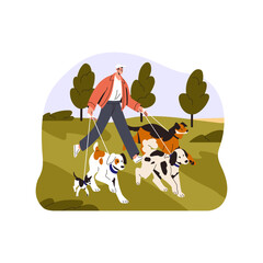 Person walking with many dogs, leading doggies on leash. Pet sitter, volunteer going with lot of puppies outdoor in nature. Man with pups in park. Flat vector illustration isolated on white background