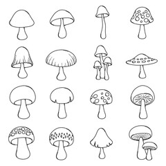 Mushroom Doodle vector icon set. Drawing sketch illustration hand drawn line eps10