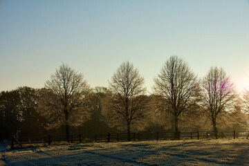 winter on the lower rhine