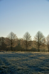 winter on the lower rhine