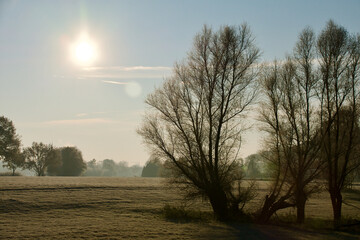 winter on the lower rhine