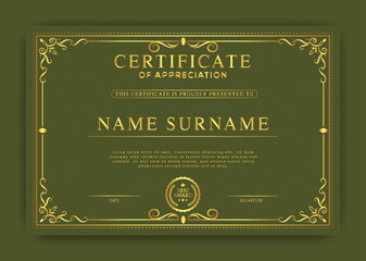 Vector professional elegant certificate template design