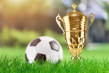 Trophy Cup and soccer ball on field lawn.