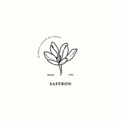 Line art saffron flower illustration