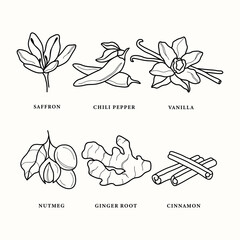 Line art herbs and spices illustration