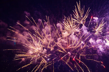 Bright, beautiful purple fireworks in the night sky.