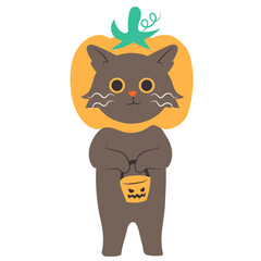 Cat with pumpkin head vector illustration in flat color design