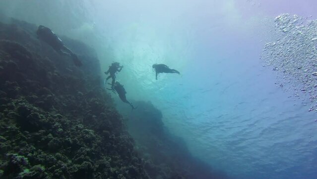 Group Coral Reef Divers, Diving School, Diving Course, Padi, SSI, Red Sea Egypt