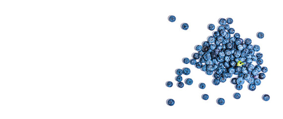 Bowl of ripe blueberries isolated on white background. Fresh fruits, ingredients of healthy food