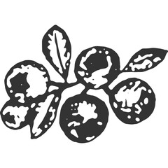 Berry Vintage Illustration Vector