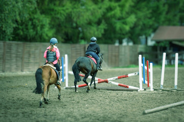 Pokonywanie granic, jeździec i skaczący koń na treningu przeszkodowym - obrazy, fototapety, plakaty