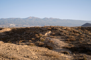 Sunrise on the beach on a summer day. Dunes, desert plants and rocks. mountains in the background. Calm clear sky, orange color. El medano, Tenerife, Canary Islands, Spain.