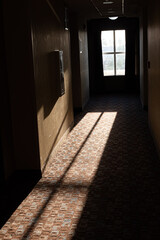 Sun shining into a room through a window. Evening sun.