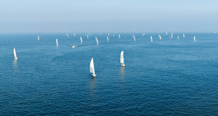Group of sailboats in the sea
