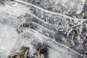 In winter the ground freezes. Frozen nature in winter.
