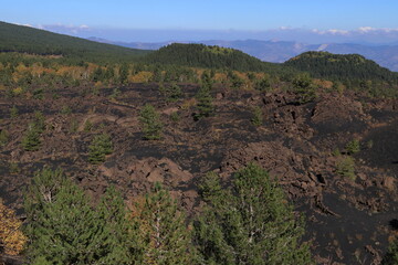 Fototapeta na wymiar i crateri lavici sul monte Sartorius