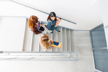 Overt the head view, three young women, students, walking down the stairs at the university 