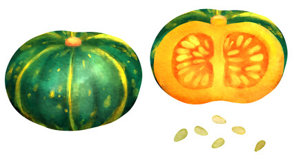 カボチャの水彩風背景透過イラスト素材セット
