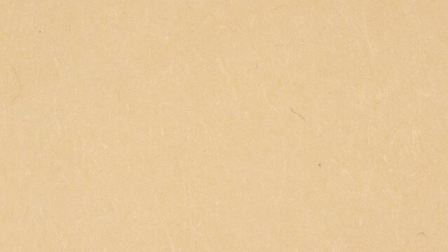 Bone Paper Background Texture Seamless Loop