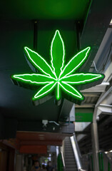 Light panel in the shape of a large hemp leaf against a blurred background and downtown. A neon...