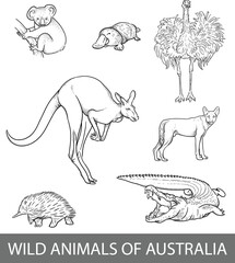Vector set of wild animals of Australia. Outline illustration of koala, ostrich, echidna, dingo, alligator, kangaroo, platypus.