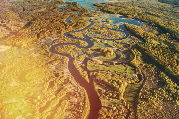 Aerial View Green Forest Woods And River Landscape In Sunny Spring Summer Day. Top View Of Nature, Bird's Eye View. Trees Standing In Water During Spring Flood floodwaters. woods in Water deluge