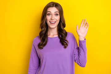 Photo of excited sweet lady wear violet sweater waving arm palm hi isolated yellow color background © deagreez