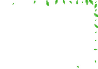 Greenish Foliage Background White Vector. Sheet Delicate Illustration. Figure Design. Light Green Structure Frame. Vegetation Element.