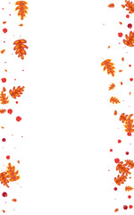 Orange Leaves Background White Vector. Acorn Forest Texture. Brown Leaf. November Illustration. Yellow Plant Gradation.