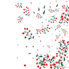 Pink Rowan Background White Vector. Berries Wood Template. Green Leaves November. Season Set. Foliage Tree.