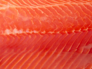Salmon red fish fillet as a background.