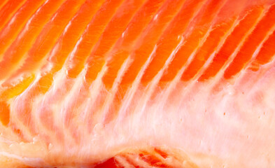 Salmon red fish fillet as a background.