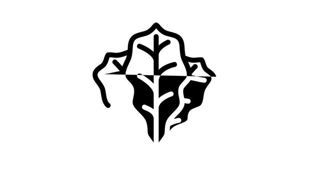 spinach leaves line icon animation