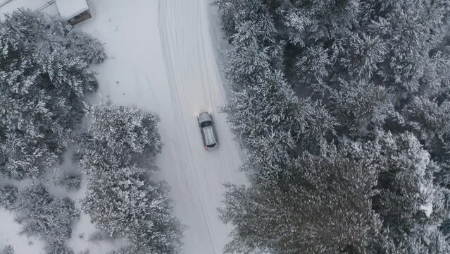 Drone flight above a picturesque snowy forest with a car on a curvy road passing through it. Winter snowy landscapes in the countryside..