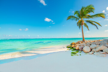 Playa Blanca, Punta Cana, Dominican Republic - obrazy, fototapety, plakaty