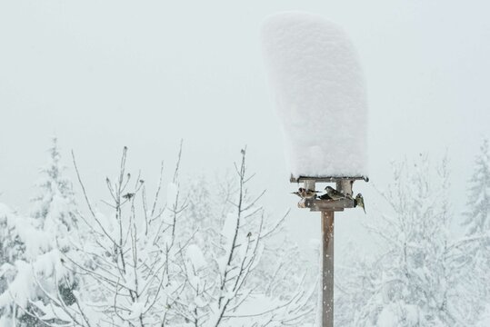 Piles of dirty snow are a Canadian kid's kingdom