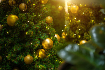 Obraz na płótnie Canvas Merry x-mas,Close up of Colorful balls ,gifts box and Christmas greeting picture parcel decoration on Green Christmas tree background Decoration During Christmas and New Year.