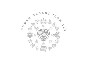 Vector muman organs icon set