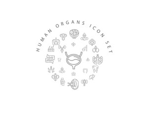 Vector muman organs icon set