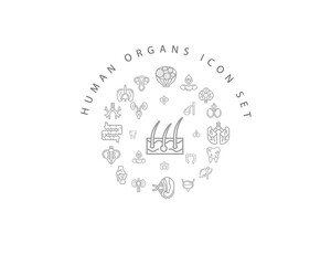 Obraz premium Vector muman organs icon set