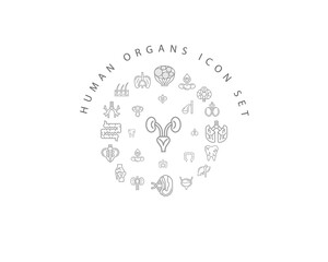 Vector muman organs icon set