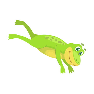 Jump sequence movement of frog. Vector illustration of small wild toad with tongue isolated on white