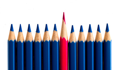 Pink pencil standing out from the crowd