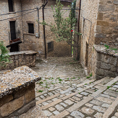 SOS DEL REY CATÓLICO, municipio de la provincia de Zaragoza, Aragón, España.