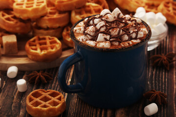 A mug with hot chocolate with marshmallow