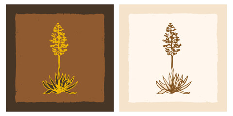 Agave americana sketch doodle illustration