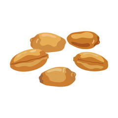 Plant seeds cartoon illustration. Cereal grains, chickpeas, corn, pumpkin, sunflower seeds isolated on white background