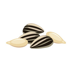 Sunflower seeds, plant seeds cartoon illustration. Cereal grains, chickpeas, corn, pumpkin, isolated on white background