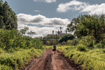 Fototapete bei efototapeten.de bestellen   